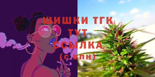 МДПВ Новодвинск