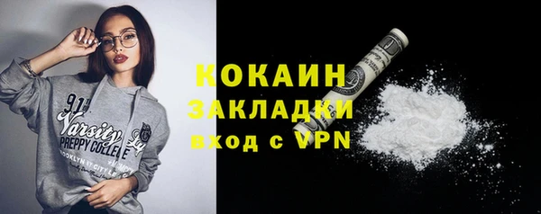 гидропоника Бородино