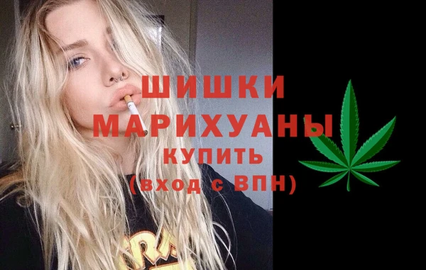 гидропоника Бородино