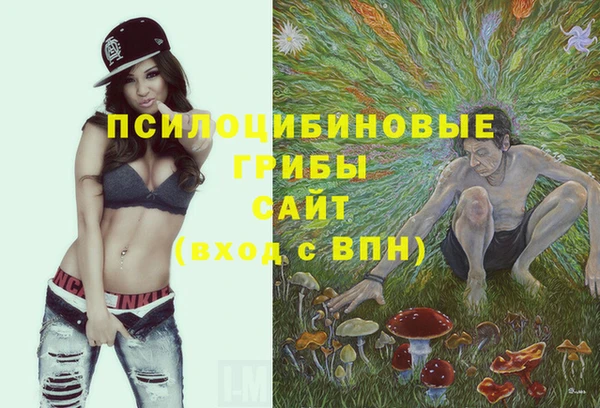 MDMA Premium VHQ Бронницы